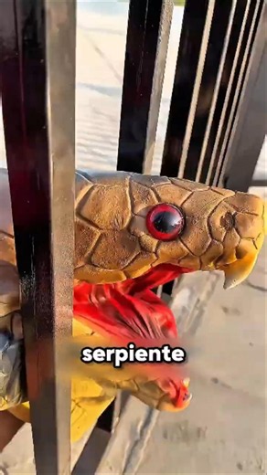 Everyone Thought It Was A Real Snake 😳