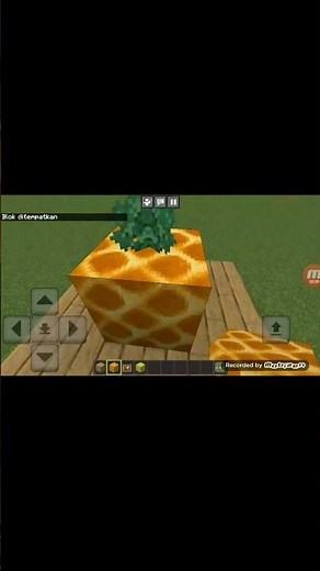 how make fruit pineapple in minecraft #minecraftbedrock