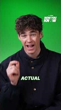 How did a dog recover the stolen World Cup trophy?