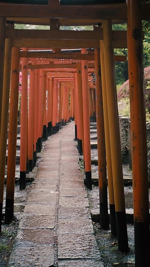 Japan Sports Journey on Reels