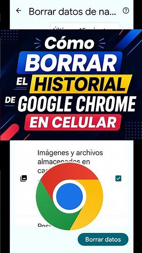 How to CLEAR GOOGLE CHROME HISTORY on Mobile