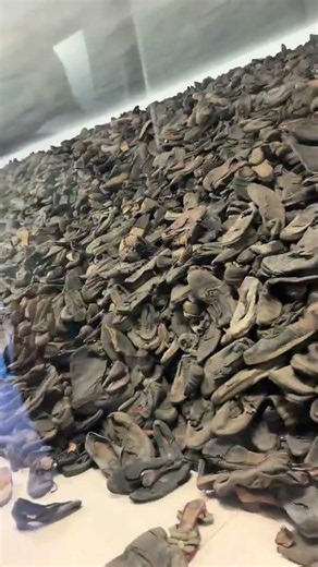Visiting Auschwitz-Birkenau | Remembering the Victims 🕯️
