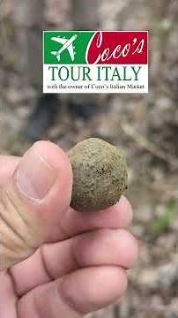 Truffle Hunting in Tuscany with Coco's Tours to Italy