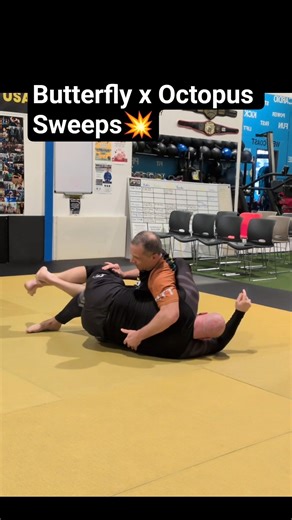 butterfly x Octopus Guard sweeps #bjj #nogi #jiujitsu #grappling #martialarts #bjjtechnique #bjjlife
