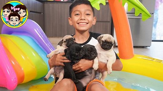 Suscribete para obtener beneficios exclusivos 😁 Videos en vivo solo para suscriptores, avances de videos e insignia de la pagina 🙈🤩 https://www.facebook.com/becomesupporter/LosGuzmancitos/ | Guzmancitos
