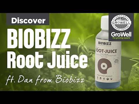 Biobizz Root Juice ft. Dan from Biobizz | DISCOVER