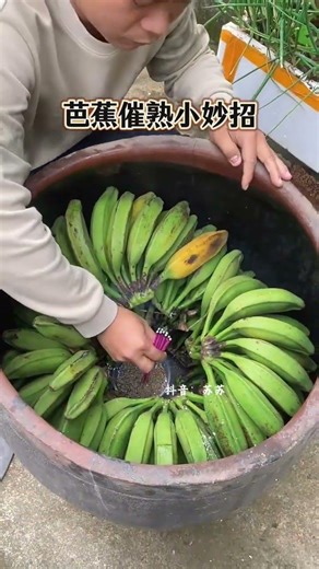 Quick & Easy Ways to Speed Up Banana Ripening