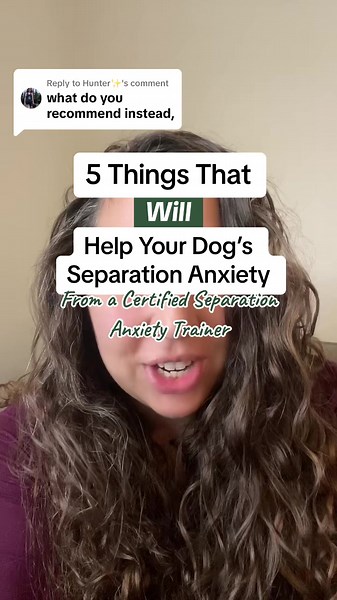Replying to @Hunter✨ Desensitisation is the gold standard for separation anxiety treatment, and has a really high success rate! #separationanxiety #separationanxietytraining #dogtraining #dogtok #fyp