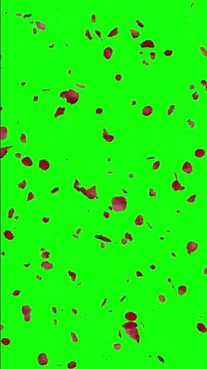 Rose Petals Green Screen || Rose Petals Falling || Green Screen Effects || VFX || shorts