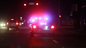 Colorado Man Tries to Trade Places With Dog to Avoid DUI Arrest