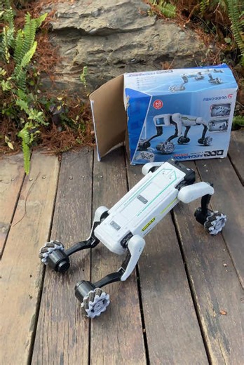 El mejor regalo: un perro robot para niños