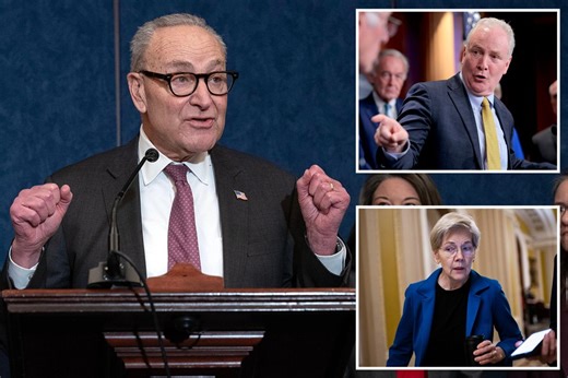 Senate Dem ‘fight club’ challenges Schumer over 2026 primaries — but critic warns of ‘one big, giant mess’