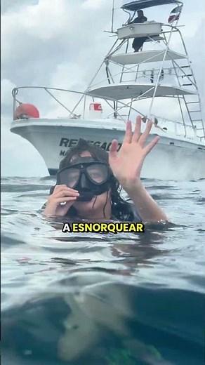 We took this tour at Iberostar Waves Cozmel with Dressel Divers