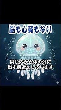 クラゲに関する雑学３選 #雑学 #豆知識 #動物 #クラゲ #海月