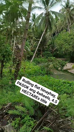 Fully planted SA lubi ug naay MGA PRUTAS tagsa, Rolling hinay hay, naay balay, tubig, SAPA tin aw, 4.5 HECTAREs title New Corella davnor Pm more details 09753576589 #propertyinvestment #highlights | Dongs Oroc