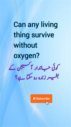 Can Organisms Survive Without Oxygen? | Anaerobic Organisms Explained
