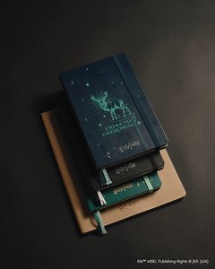 210K views · 976 reactions | Who needs Lumos when you can have these glow-in-the-dark notebooks and diaries from Moleskine? Capture magic every day when pen hits paper and let them remind you that noting down ideas by hand is the first step in making them come to life ✍️ Check out the collection here: https://bit.ly/454bMiX | Harry Potter | Facebook