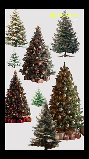 Fresh cut Christmas trees coming to your local ace hardware. Various kinds and sizes available. #ACE #Christmas #trees #fypシ゚viralシfypシ゚ #fypageシ #christmastree | Emily Ace Hardware