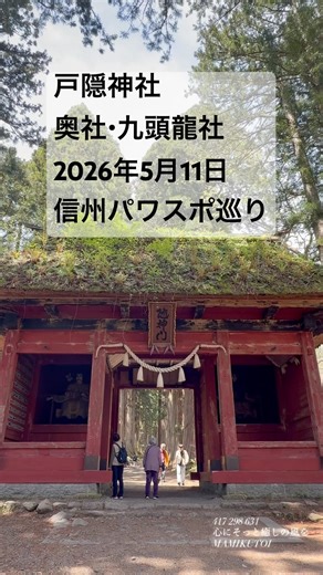 戸隠神社 奥社・九頭龍社｜新緑と光に包まれた神聖な参拝｜2026年5月11日| Togakushi Shrine Okusha & Kuzuryusha
