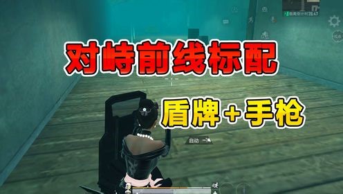 听说玩对峙前线的喜欢拿盾牌，我也来试试