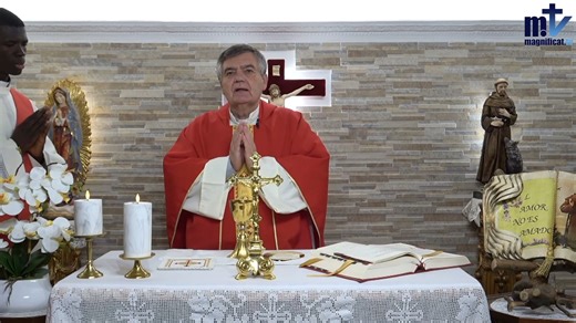 4.5K views · 237 reactions | La Santa Misa de hoy l Santa Cecilia,...