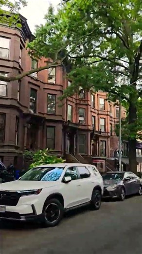 Brooklyn crown heights #music