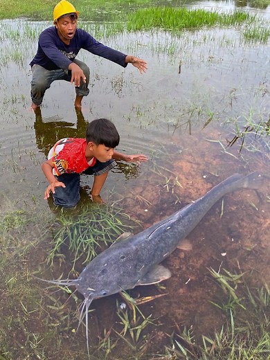 Survival Skills: SIMPLE and USEFUL with FISH trapping tool #survival #bushcraft #camping #shorts