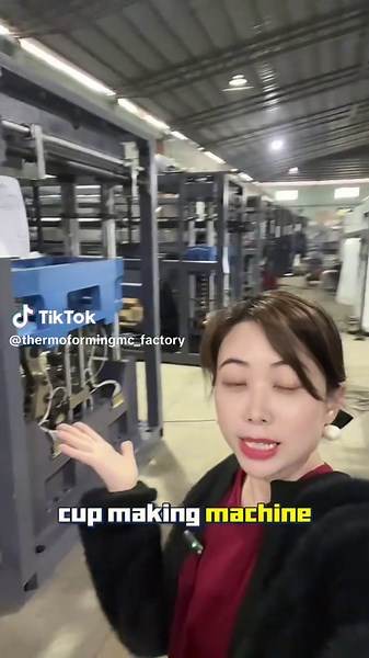 Cup Making Machine Production Line Overview