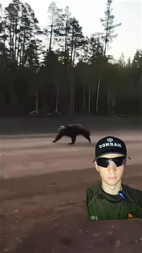 You don't want to be in the middle of this CHASE 🏃‍♂️🐾