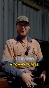 Every Aussie Knows The Tommy Turtle!