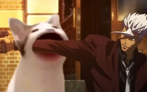 popo猫用嘴偷袭奥尔加