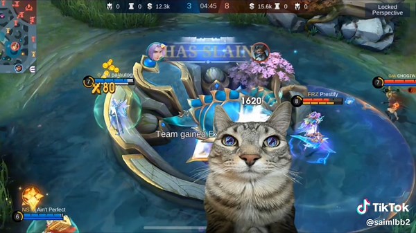 Mobile Legends Retribution Tips for Better Gameplay