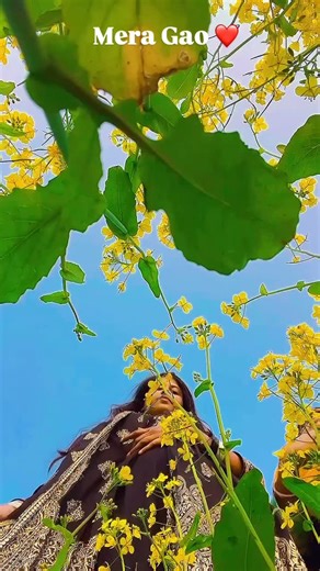 Jiya Queen on Instagram: "Aesa desh hai mera #shotoniphone #viral #followforfollowback #hairstylist please like and share"