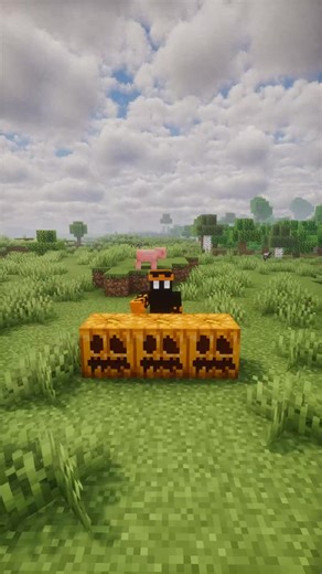 Sparked Host | how to carve a pumpkin in Minecraft | Instagram