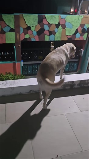 Cooper.Chloe (@cooper.chloe422)’s videos with son original - dayvine_lise