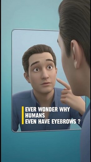 Ever WONDER why humans even have any EYEBROWS 👀 #3dscience #shortvideo