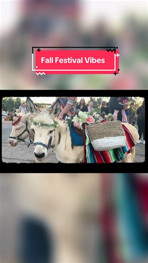 Fall Festival Vibes with Pony Land. Candy Burros, Horse drawn hay rides, pony rides, petting zoos! #foryou #horsetok #farmlife #farmanimals #sandiego