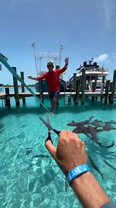 Failure series highlights🔥🔥🔥 | Awesome World