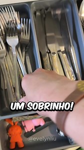 ESCONDI 450 mini bebês 👶 na casa do meu irmão!! 😂😂 | Evelyn Liu