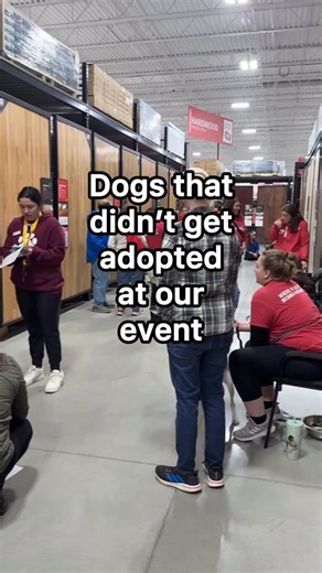 Last Hope K9 Rescue on Instagram: "They all were so well behaved but it wasn’t their day. Please check out their bios on the “Adoptable Dogs” page of our website and submit an adoption application (if you haven’t already)! Reminder: You do NOT need to own your own home, live in a single family home, or have a yard or fence to adopt or foster with us! Residents of Massachusetts can foster with us and residents of Massachusetts, New Hampshire, Rhode Island, Connecticut, & Vermont can adopt with us