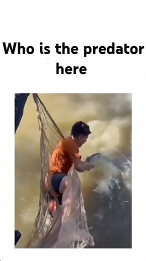 predator