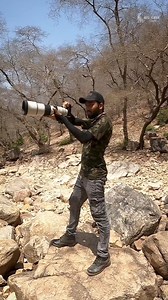 17K views · 145 reactions | Tiger Hunting Technique | Ranthambore National Park | Facebook