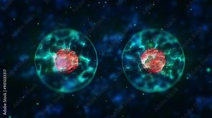 Medical, microscope cell division or science for research in mitosis, growth or duplicate. Biotechnology, innovation or bacteria evolution in binary fission for medicine development or microbiology