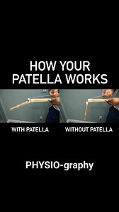 Anatomical pulley system | PHYSIO-graphy