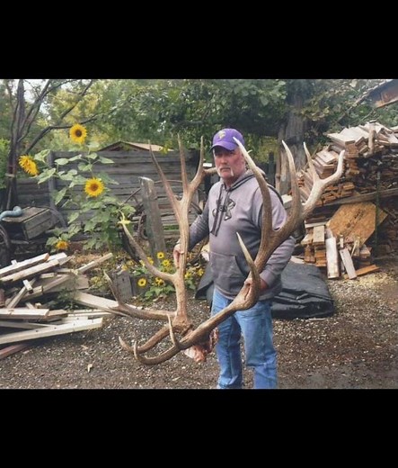 Biggest elk killed in Montana #hunting #elkhunting #outdoors #countrymusic #jesus
