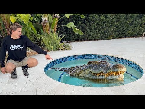 TRAPPING THE POOL MONSTERS !