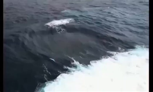 Four waves crashing into eachother.One of the rarest ocean phenomena wasn’t discovered by scientists—it was spotted by surfers.