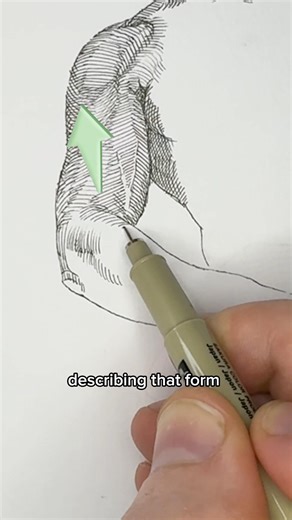 Use your lines to describe form.