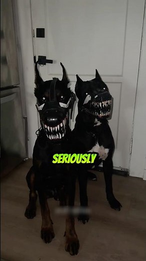 Cane Corso Pros & Cons 😬 The Truth Before You Buy #shorts #dogs #pets