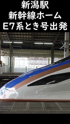 【分身の術！？】新潟駅を出発するE7系上越新幹線とき号 2面4線のホーム 出発するのはどっち？